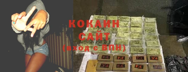 гашик Алзамай