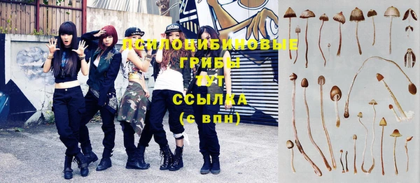 бошки Алексин