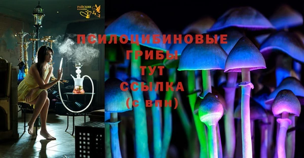 гашик Алзамай