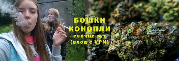 бошки Алексин