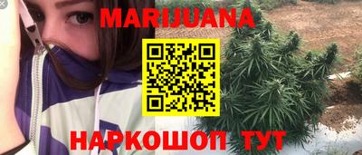 сатива Абакан