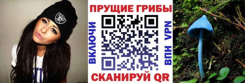 Псилоцибиновые грибы Magic Shrooms  наркошоп  Алексин 
