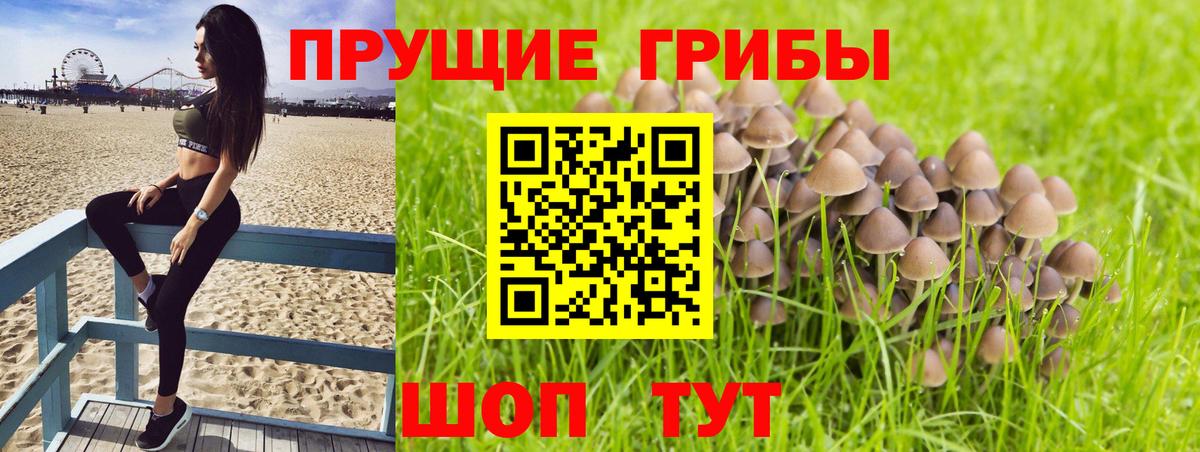 Псилоцибиновые грибы MAGIC MUSHROOMS Алексин